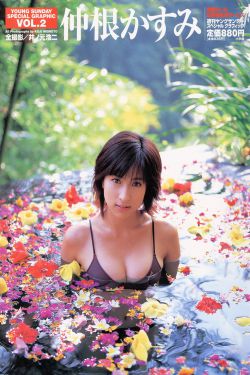 马男波杰克第四季